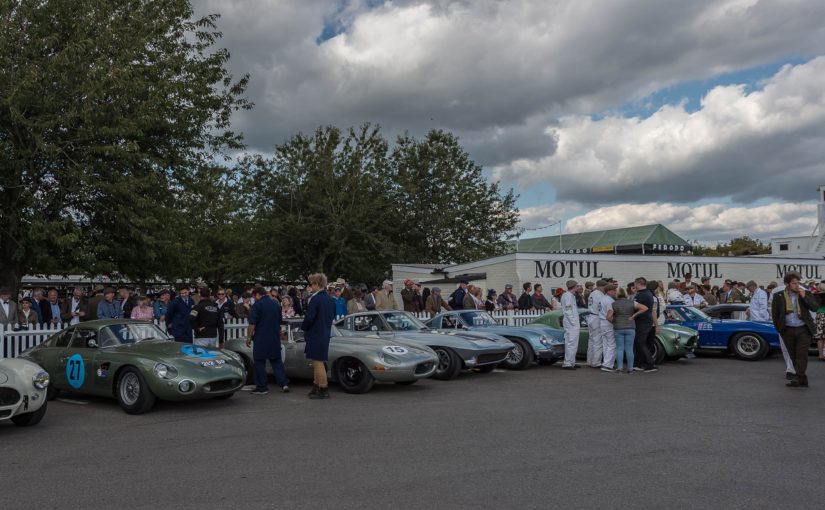 Stars and cars take centre stage at Goodwood Revival